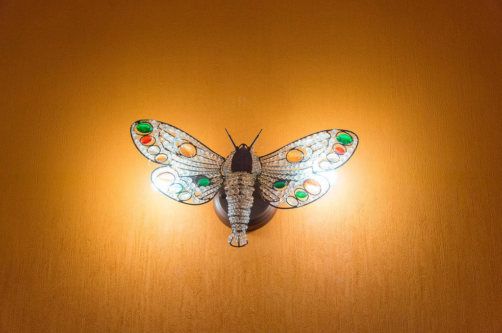 Chemodan Hostel Odessa Dış mekan fotoğraf